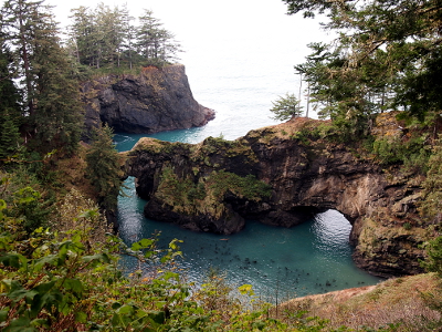 [Two arches under the rock allow ocean water into a cove. This rocky ground has many trees on it.]